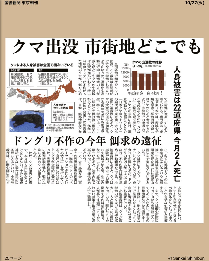 クマ出没市街地どこでも